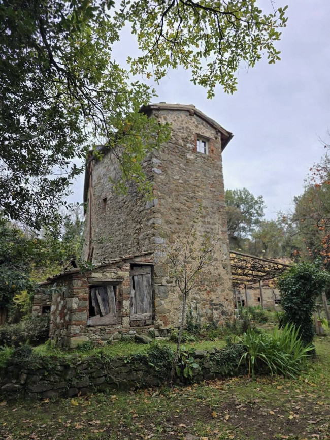 Farmhouse for sale in Camaiore