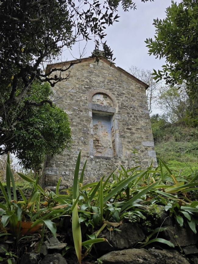 Farmhouse for sale in Camaiore