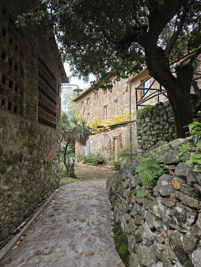 Farmhouse for sale in Camaiore