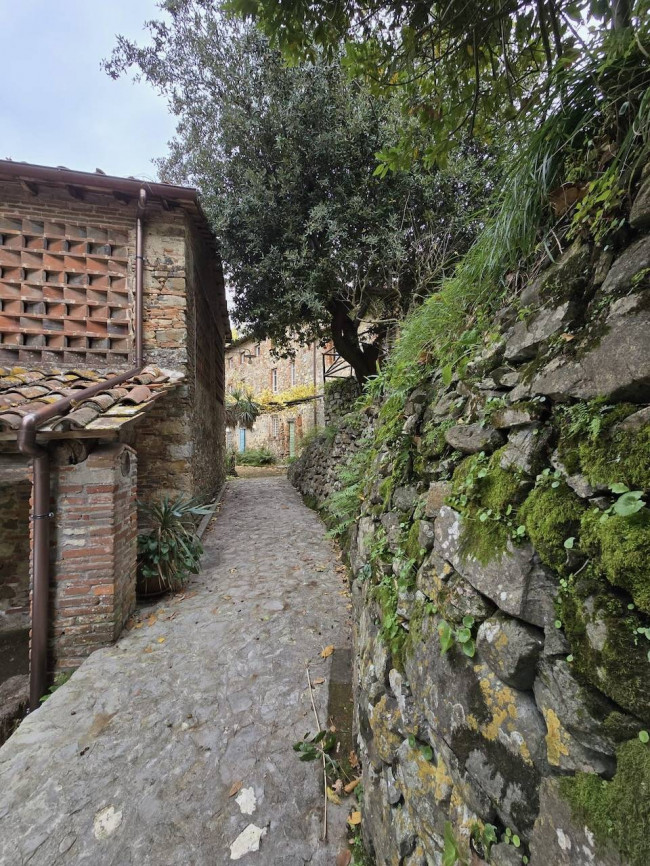 Farmhouse for sale in Camaiore