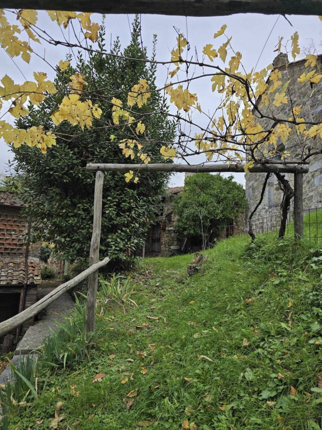Farmhouse for sale in Camaiore