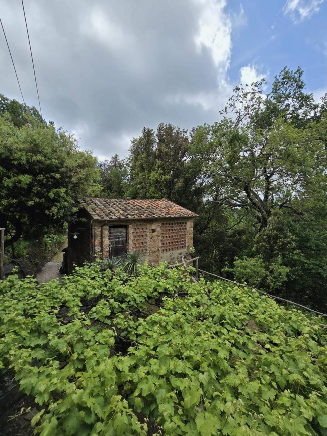 Farmhouse for sale in Camaiore