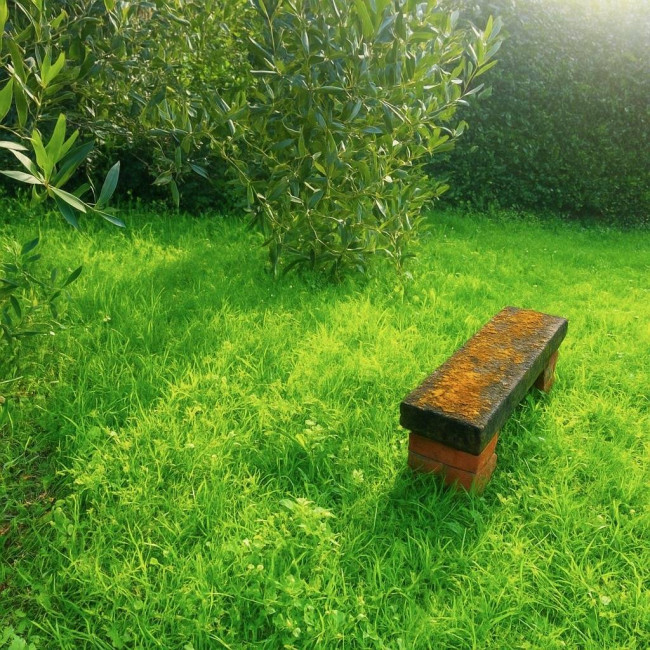 Villa in vendita a Montecarlo