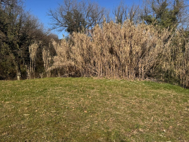 countryhouse for sale in Lucca