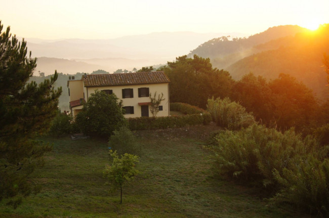 countryhouse for sale in Lucca