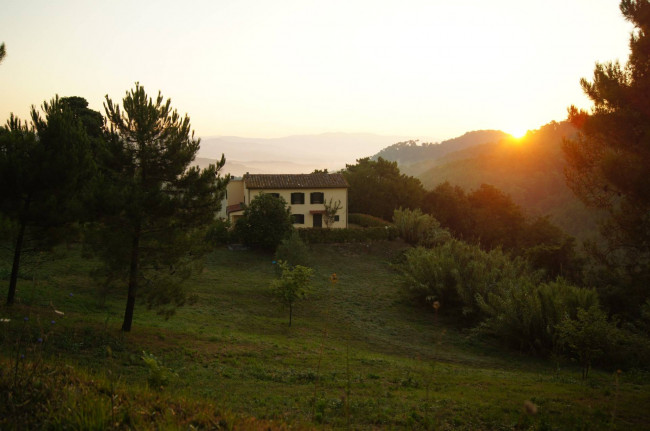 countryhouse for sale in Lucca