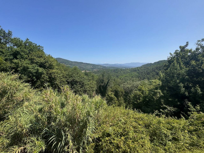 countryhouse for sale in Lucca