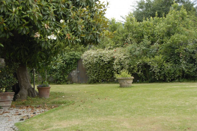 Farmhouse for sale in Lucca
