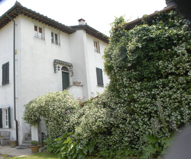 Farmhouse for sale in Lucca