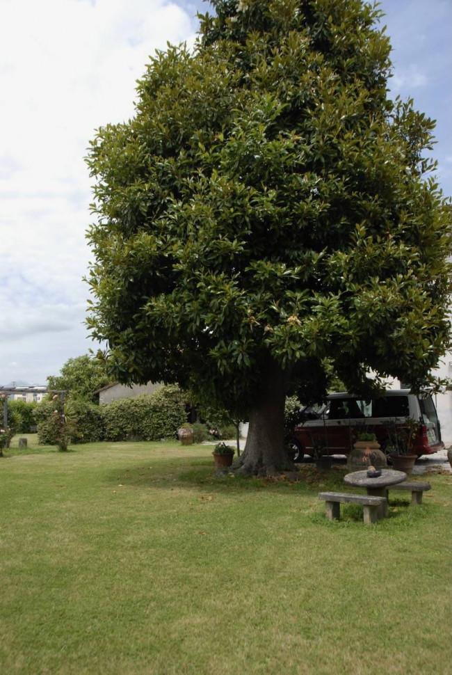 Farmhouse for sale in Lucca