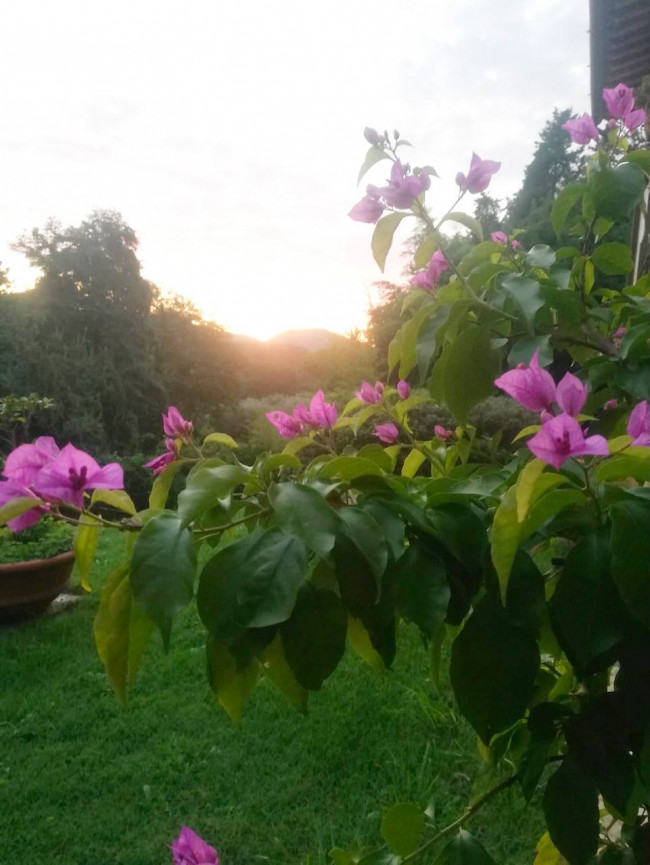 Appartamento in affitto a Lucca