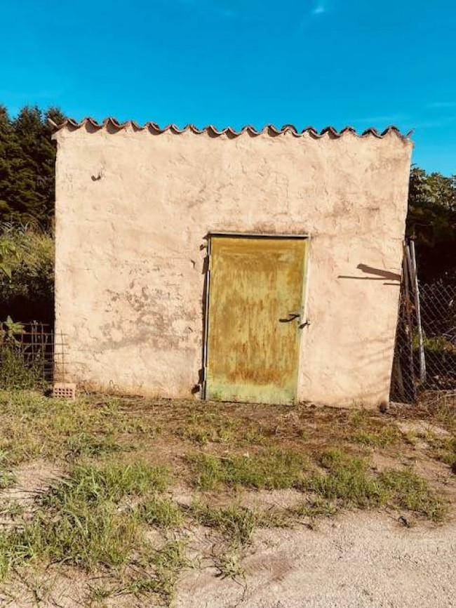 Casa indipendente in vendita a Tresignana (FE)