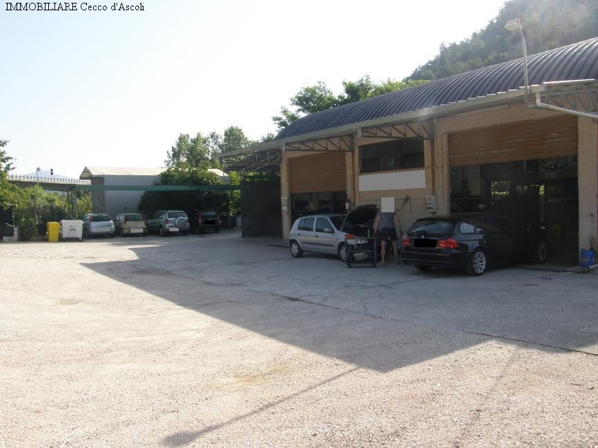 Capannone Commerciale ASCOLI PICENO vendita    Immobiliare Cecco d