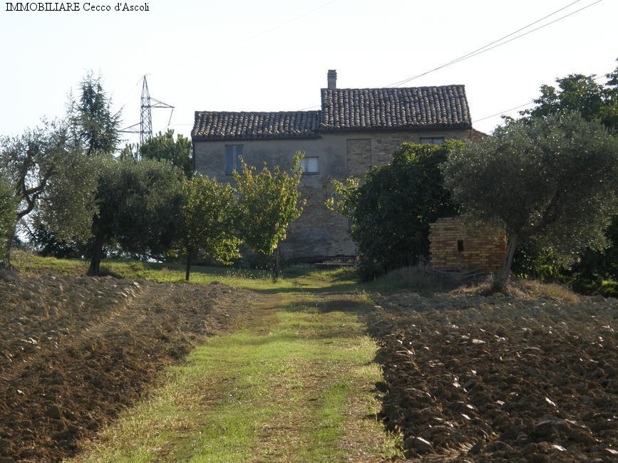 Rustico - Cascina MONSAMPOLO DEL TRONTO vendita  Monsampolo  Immobiliare Cecco d