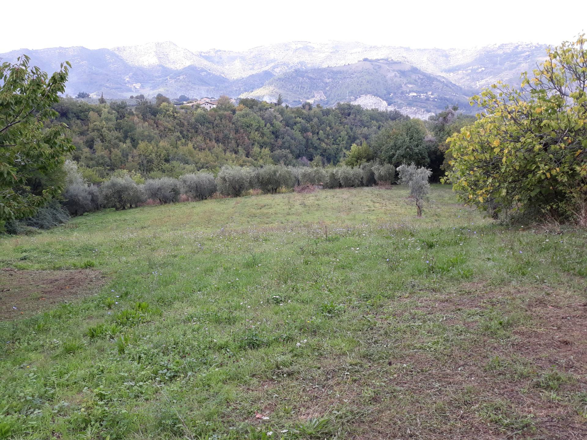 Terreno ASCOLI PICENO vendita  Rosara  Immobiliare Cecco d