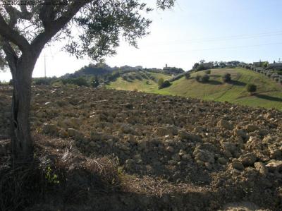 Terreno Agricolo