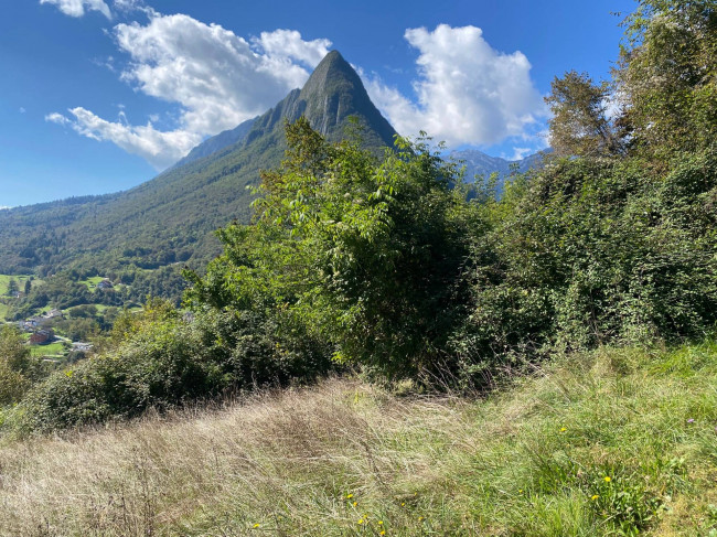 Terreno Agricolo in Vendita a Sospirolo