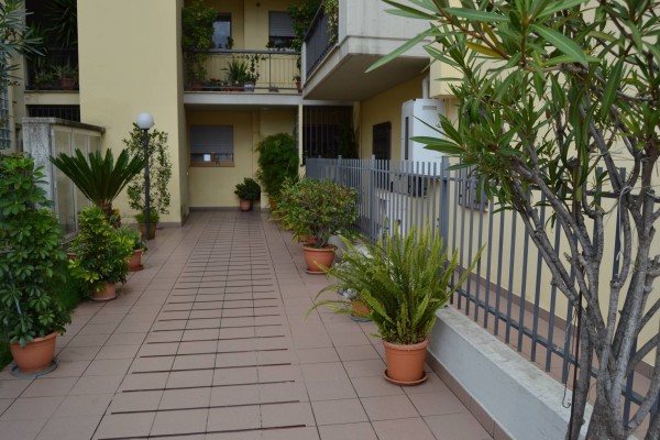 Appartamento GROTTAMMARE vendita  RESIDENZIALE  Case & Co