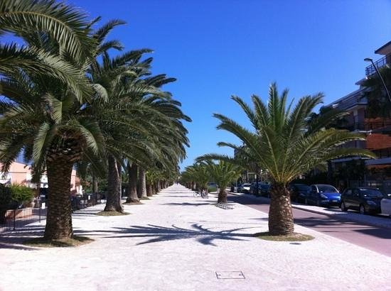 Villa Unifamiliare - Indipendente SAN BENEDETTO DEL TRONTO vendita  MARE  Case & Co