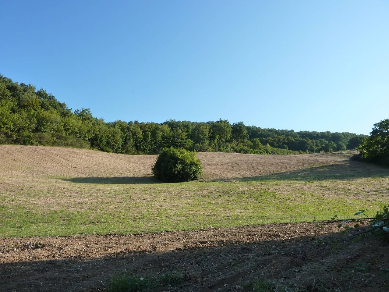 Terreno agricolo in vendita a San Savino, Ripatransone (AP)