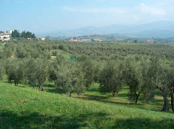 Rustico - Cascina MONTESPERTOLI vendita    Ag. Imm. SERGIO MONTAGNANI