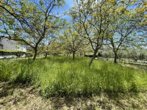 Terreno agricolo in vendita a Mosciano Sant'angelo (TE)