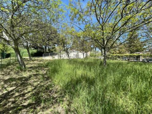 Terreno agricolo in vendita a Mosciano Sant'angelo (TE)