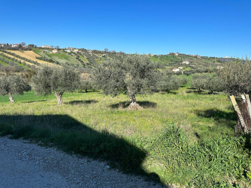 Terreno edificabile in vendita a Mosciano Sant'angelo (TE)