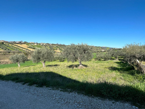 Terreno edificabile in vendita a Mosciano Sant'angelo (TE)