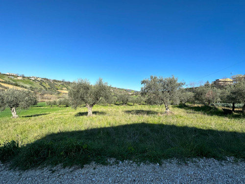 Terreno edificabile in vendita a Mosciano Sant'angelo (TE)