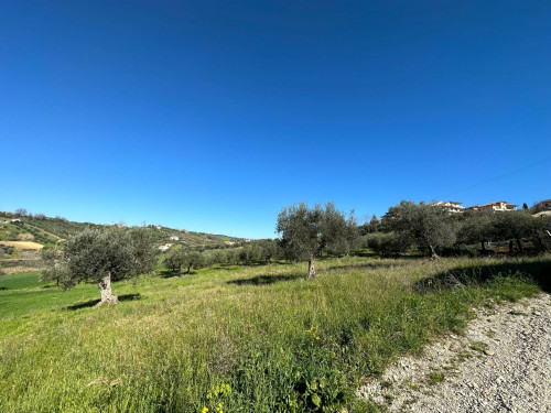 Terreno edificabile in vendita a Mosciano Sant'angelo (TE)