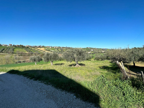 Terreno edificabile in vendita a Mosciano Sant'angelo (TE)