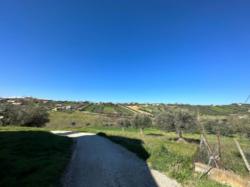 Terreno edificabile in vendita a Mosciano Sant'angelo (TE)