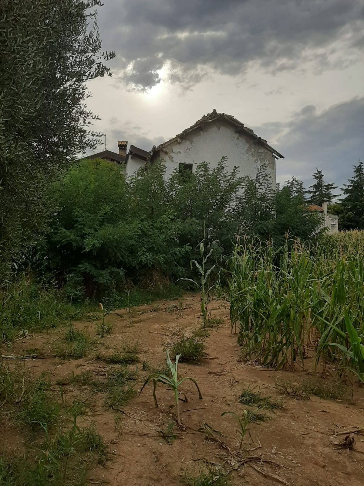 Rustico - Cascina GIULIANOVA vendita  Villa Volpe  Ricciuti Anna