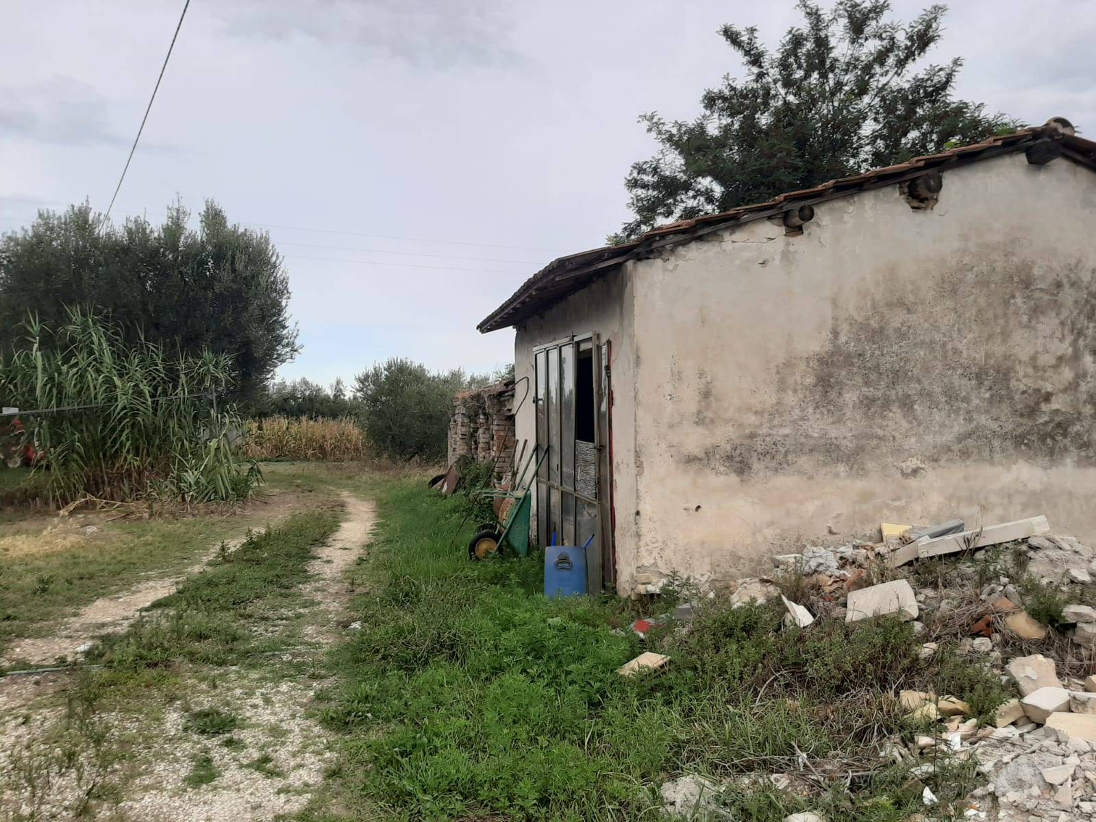 Rustico - Cascina GIULIANOVA vendita  Villa Volpe  Ricciuti Anna