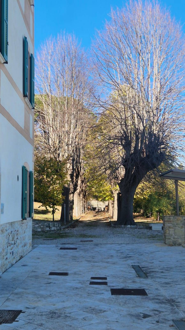 Appartamento in vendita a Ascoli Piceno