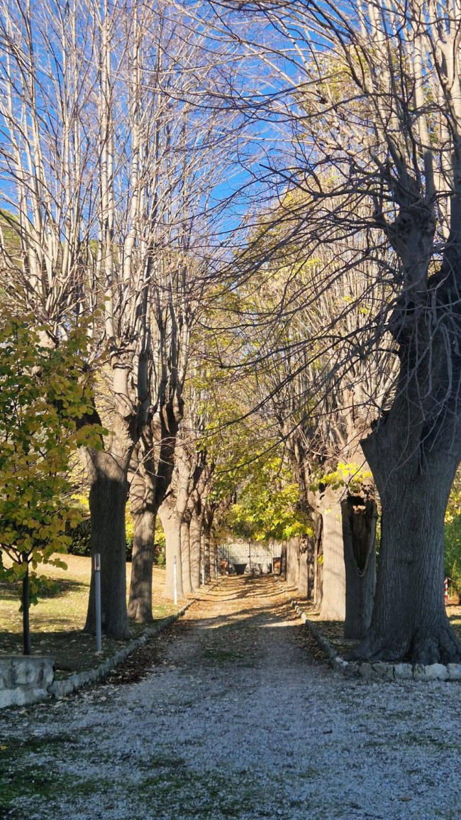Appartamento in vendita a Ascoli Piceno