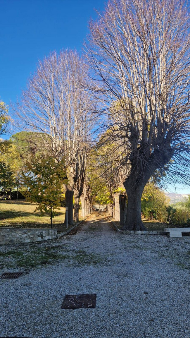 Appartamento in vendita a Ascoli Piceno