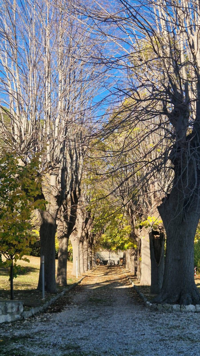 Appartamento in vendita a Ascoli Piceno