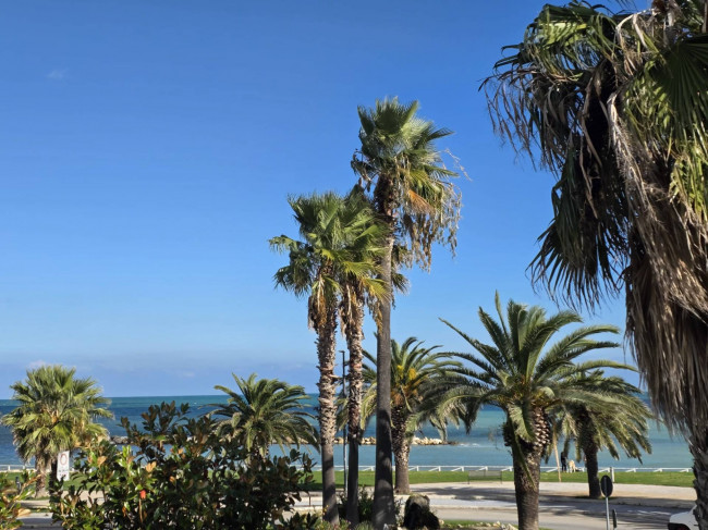 Attività commerciale in vendita a Grottammare