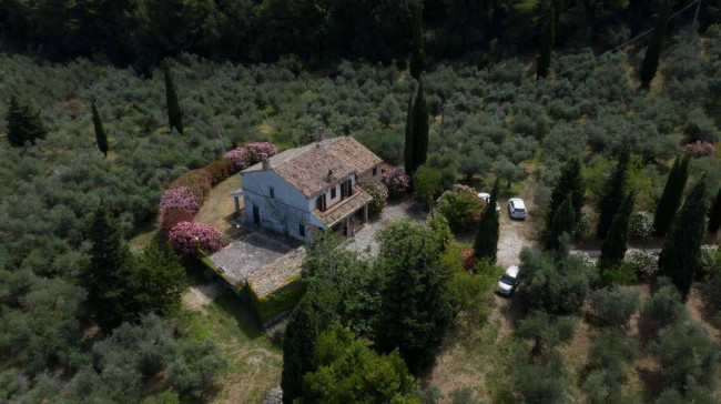 casale in vendita a Campofilone
