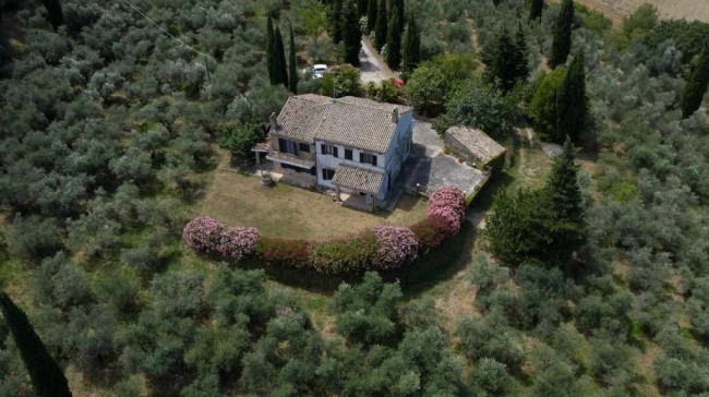 casale in vendita a Campofilone