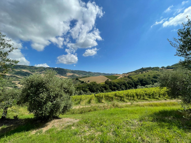 casale in vendita a Ripatransone