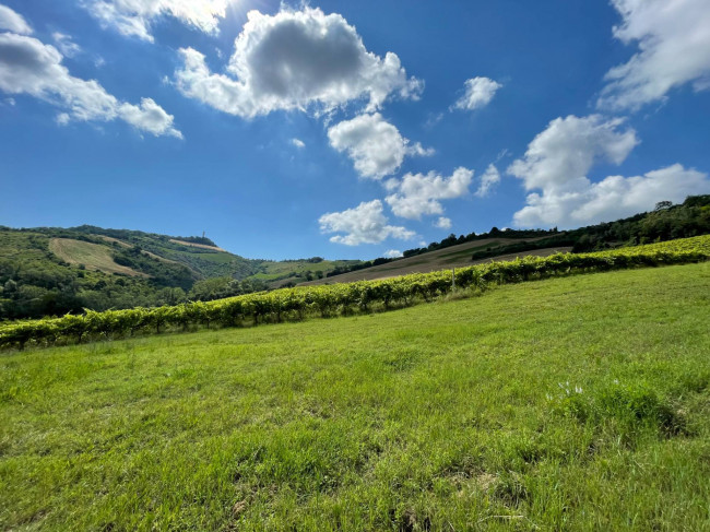 casale in vendita a Ripatransone