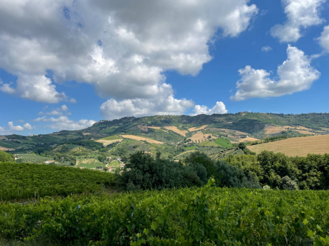 casale in vendita a Ripatransone
