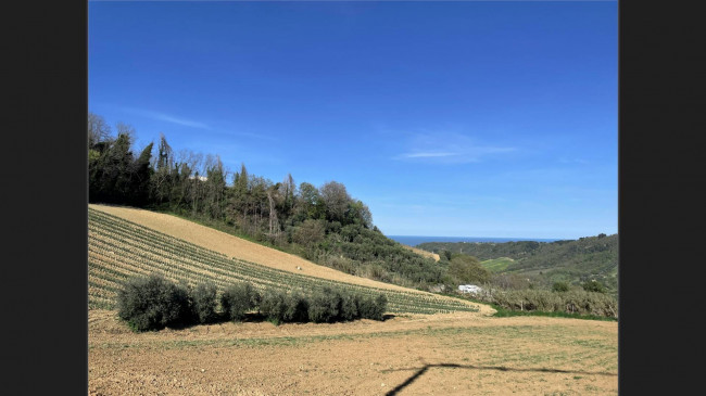 casale in vendita a Ripatransone