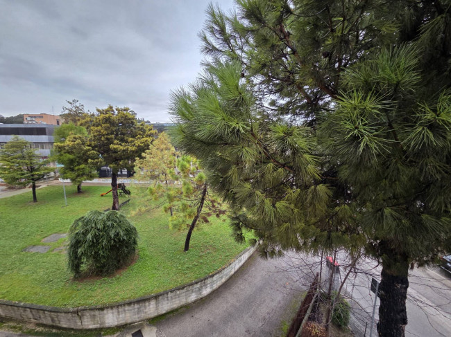 Appartamento in vendita a Monteprandone