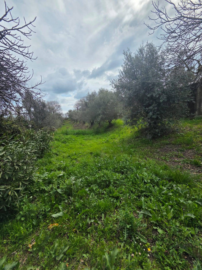 Casa singola in vendita a Massignano