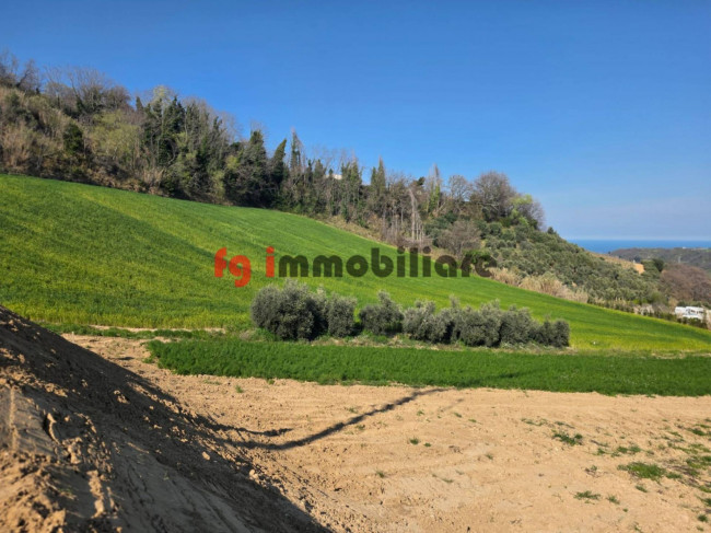 casale in vendita a Ripatransone