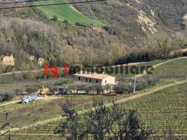 casale in vendita a Ripatransone